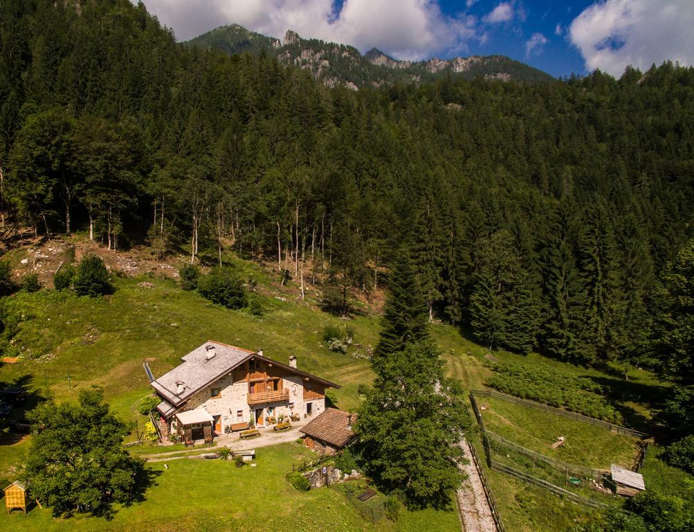 Agritur Manoncin Villa Daone Exterior photo