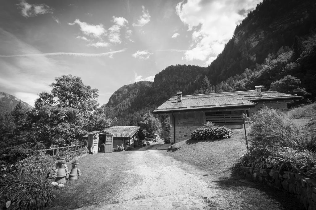 Agritur Manoncin Villa Daone Exterior photo